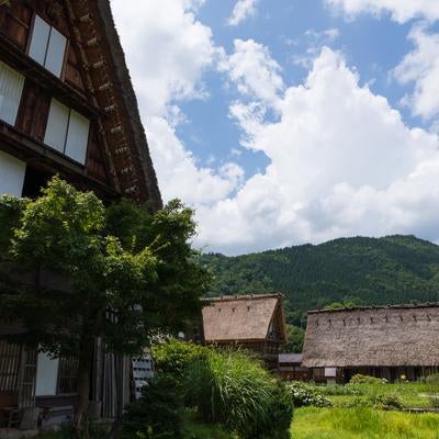 白川郷の風景、茅葺屋根と自然の調和の写真