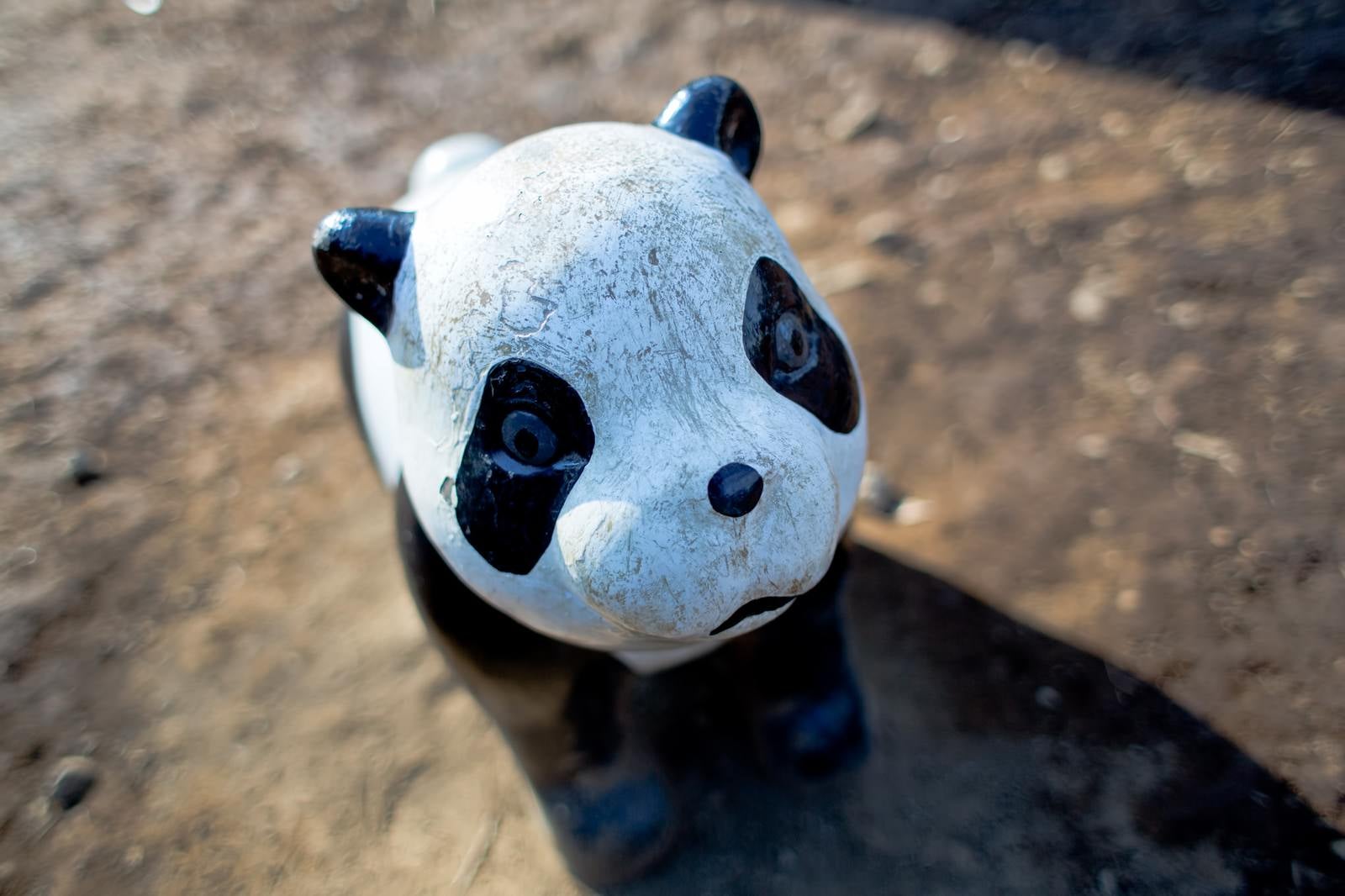 「ボロボロのパンダの遊具」の写真