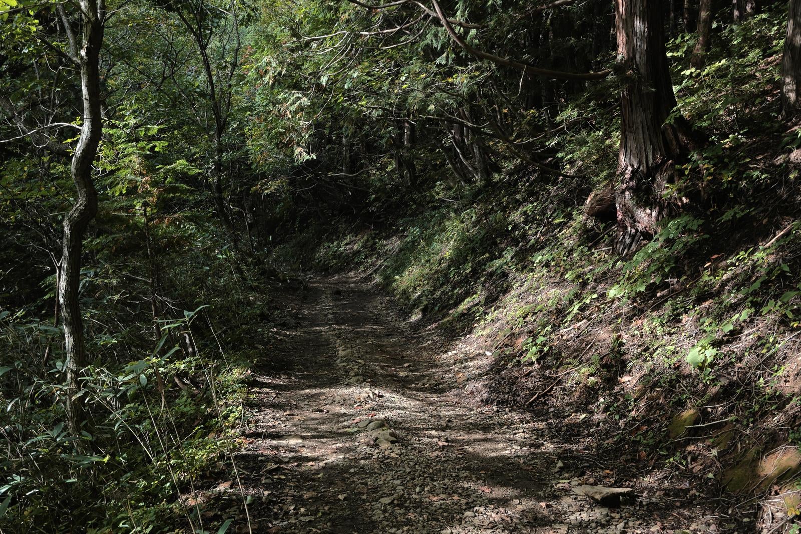 「馬車道の登山道（安達太良山）」の写真