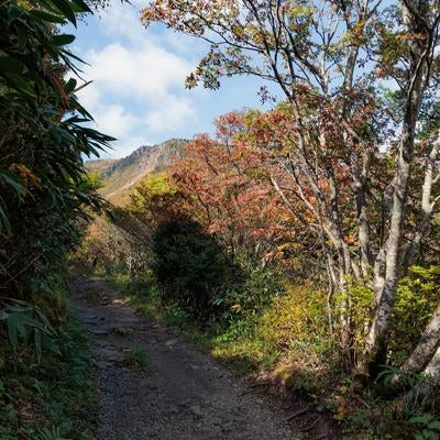馬車道の紅葉が彩る秋の登山道の写真
