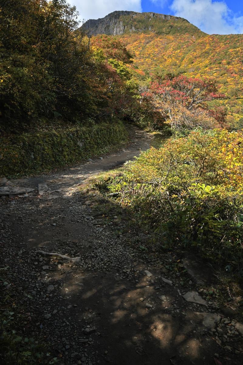 「秋色に包まれる安達太良山と馬車道の紅葉」の写真