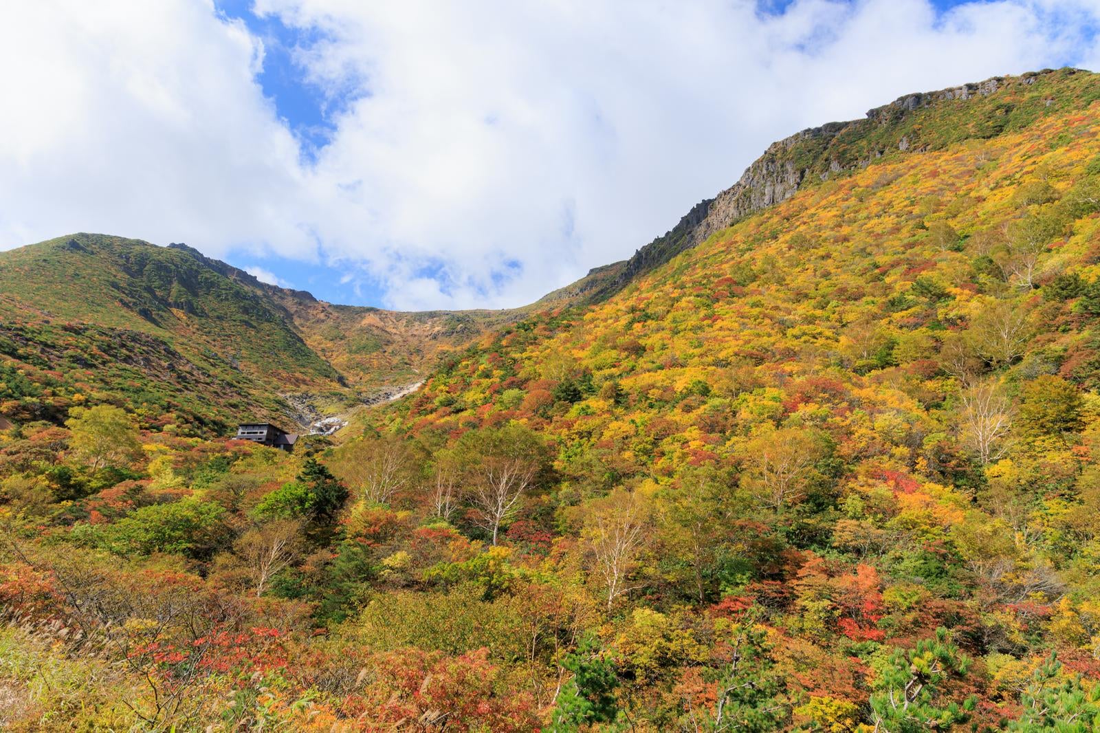 「くろがね小屋周辺の秋色、安達太良山の紅葉」の写真