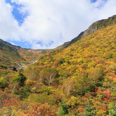 くろがね小屋周辺の秋色、安達太良山の紅葉の写真