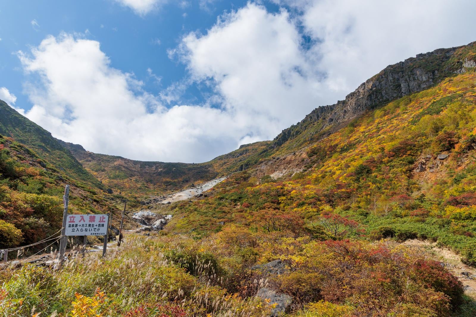 「鉄山の秋、安達太良山の登山道の色彩」の写真
