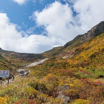 鉄山の秋、安達太良山の登山道の色彩の写真