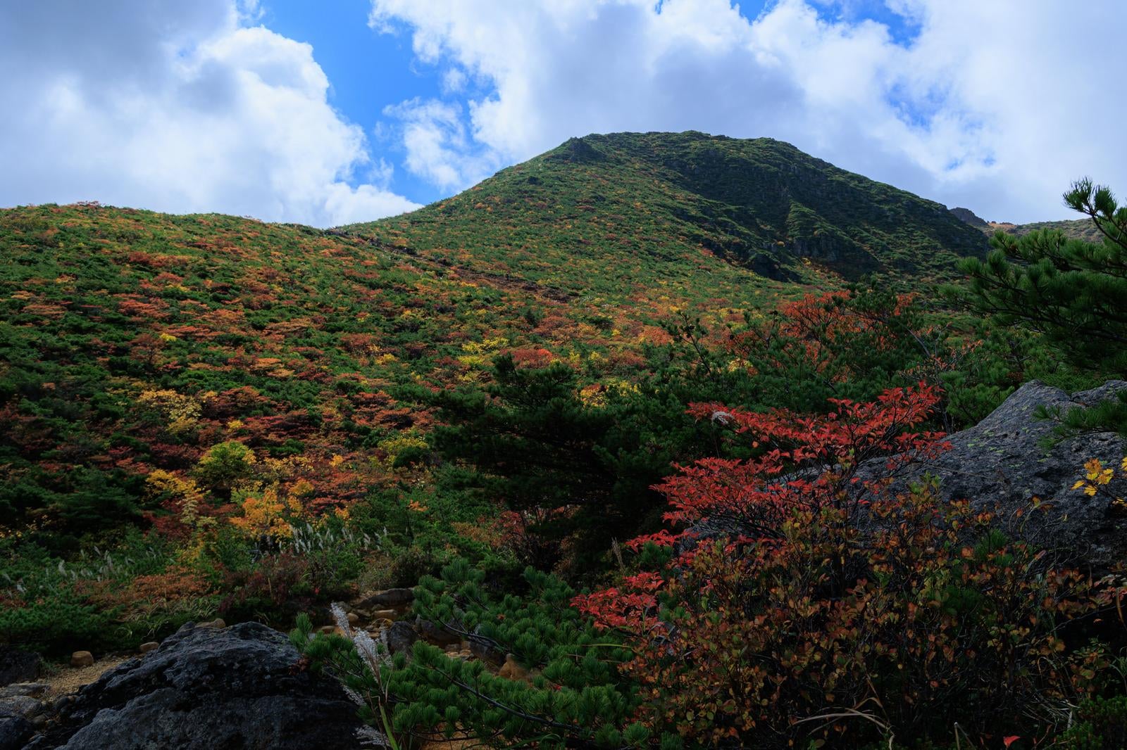 「紅葉の峰の辻と秋の風情」の写真
