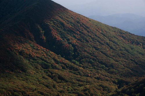 和尚山で感じる色とりどりの紅葉の写真