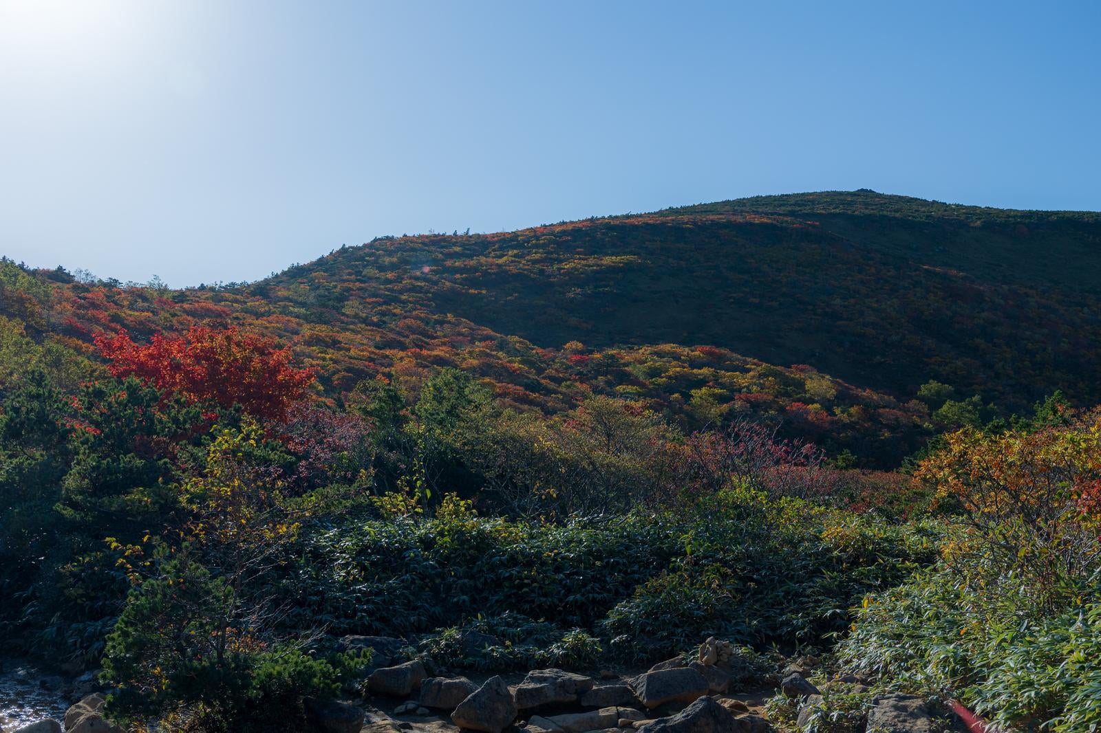 「紅葉が彩る安達太良山、五葉松平周辺の秋の美しさ」の写真