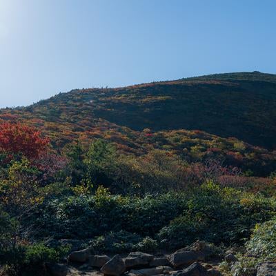 紅葉が彩る安達太良山、五葉松平周辺の秋の美しさの写真