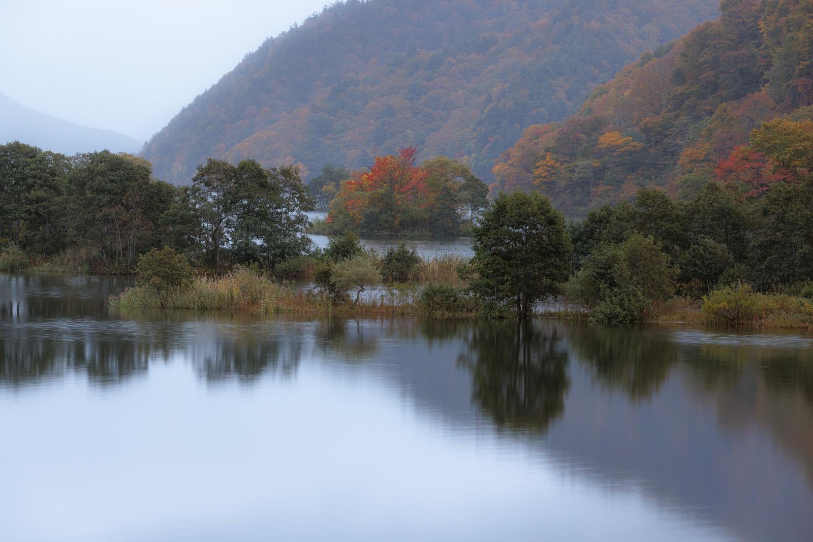 「秋元湖の静寂と湖面に反射する木々の自然美」の写真
