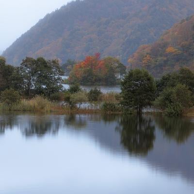 秋元湖の静寂と湖面に反射する木々の自然美の写真