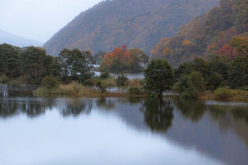秋元湖の静寂と湖面に反射する木々の自然美の写真