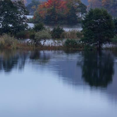 秋元湖で見る湖面に映る木々の静けさの写真