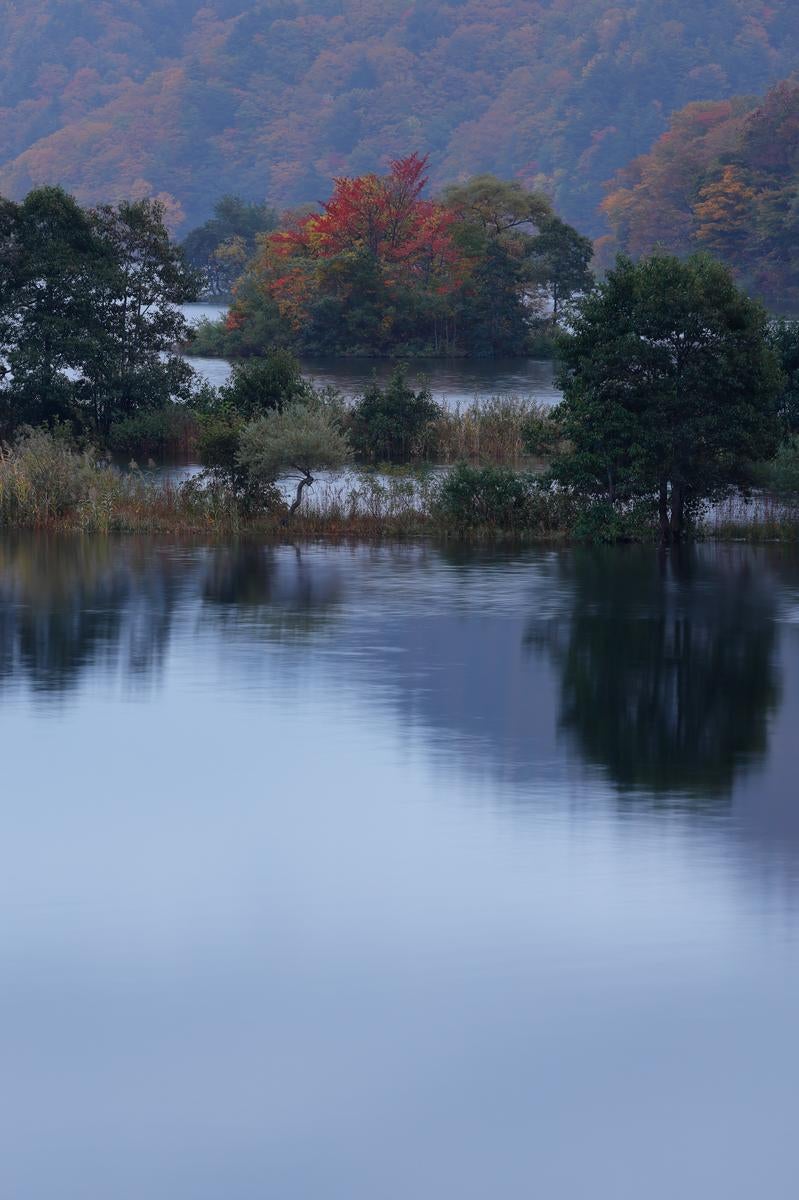 「秋元湖で見る湖面に映る木々の静けさ」の写真