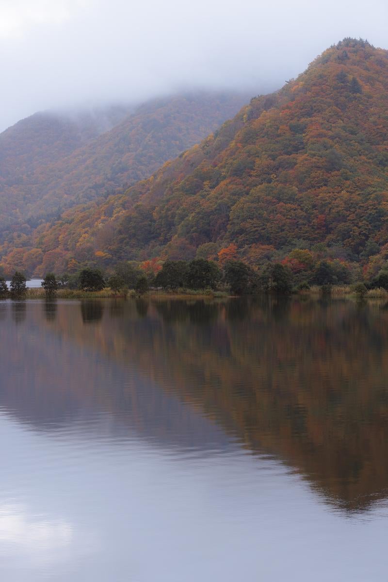 「湖面に反射する色付く紅葉、秋元湖で感じる静寂の秋」の写真