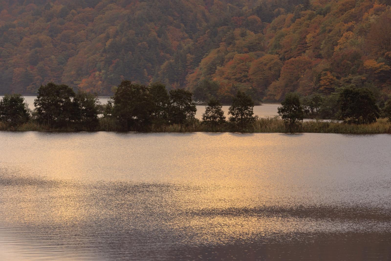 「朝焼けが照らす秋元湖」の写真