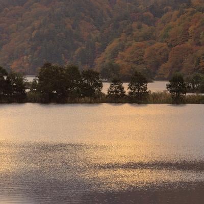朝焼けが照らす秋元湖の写真