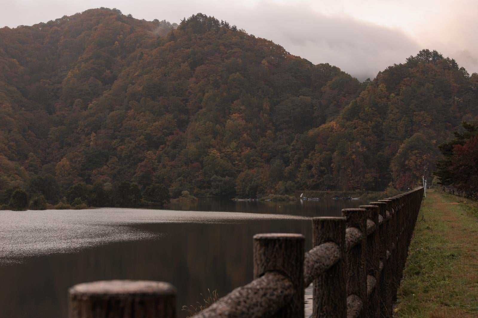 「秋元湖の湖畔で感じる秋の色彩」の写真