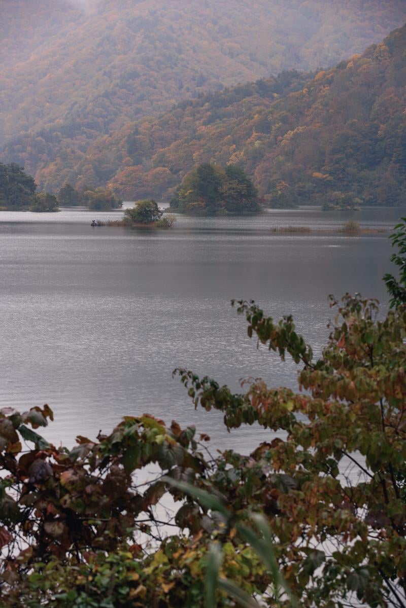 紅葉から望む秋元湖の湖面と秋の色彩の写真