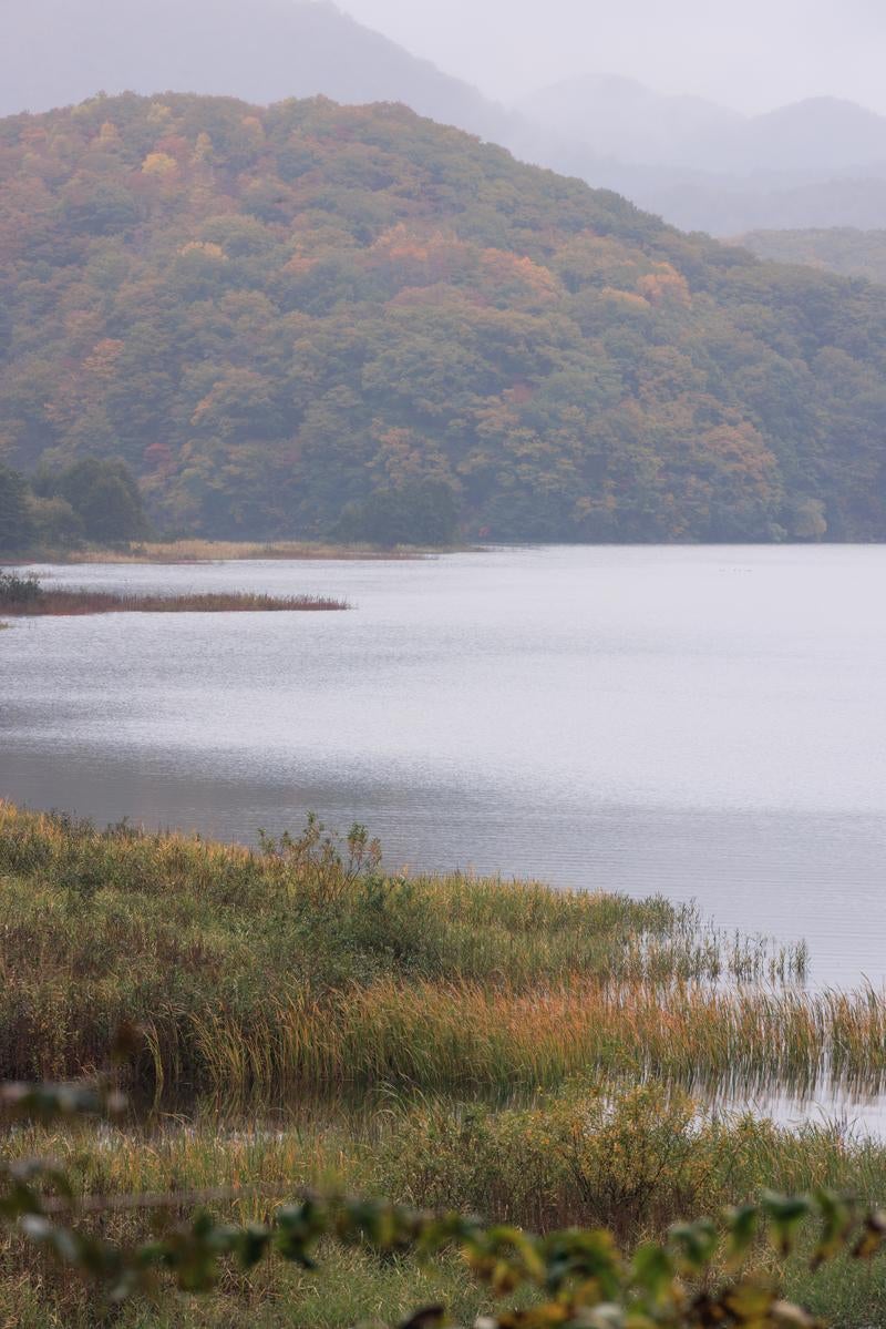 「湖畔の静けさと遠くの紅葉、秋元湖の美しい秋景色」の写真