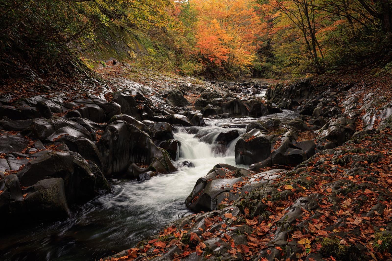 「中津川渓谷の秋景色、紅葉と落ち葉が彩る水の流れ」の写真