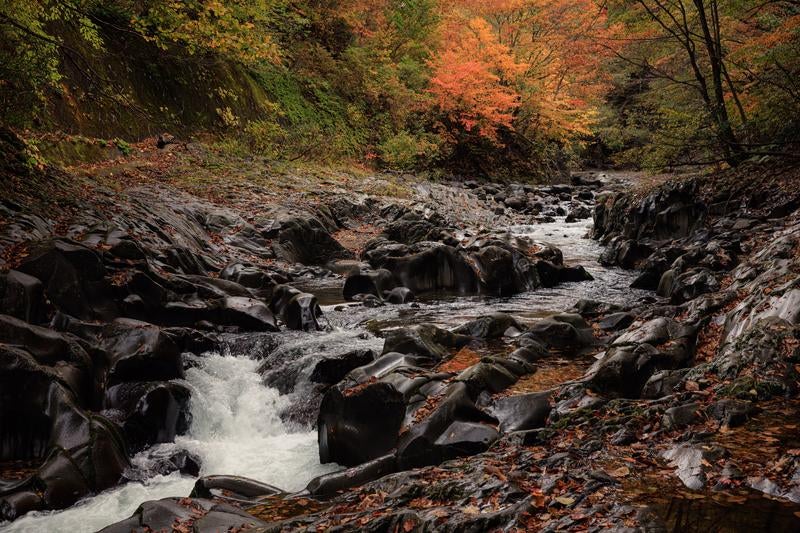 秋の中津川渓谷、紅葉と清流の魅力的な共演の写真