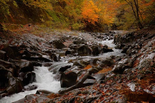 中津川渓谷の秋の風情の写真