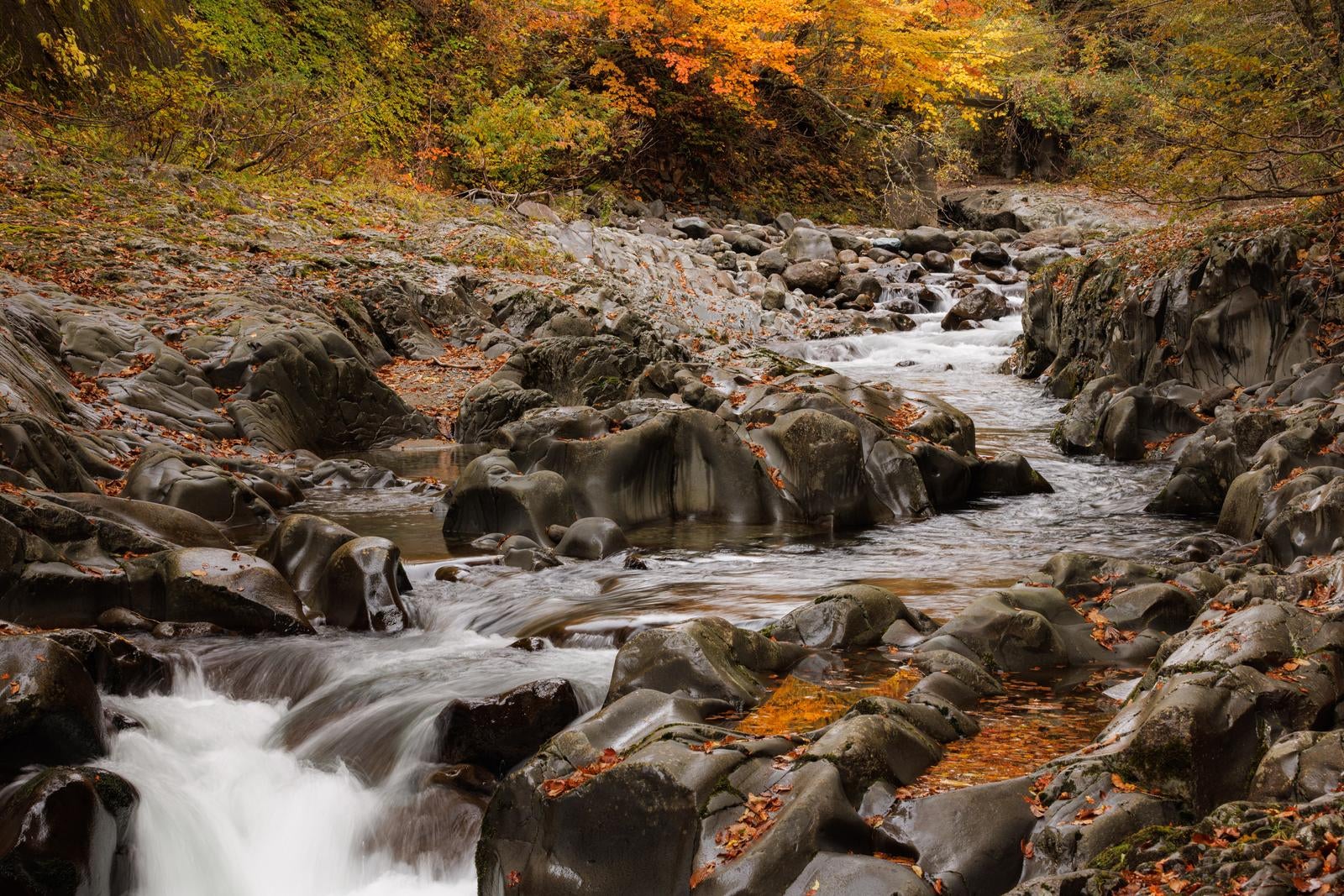 「紅葉が映える中津川渓谷の水の流れ」の写真