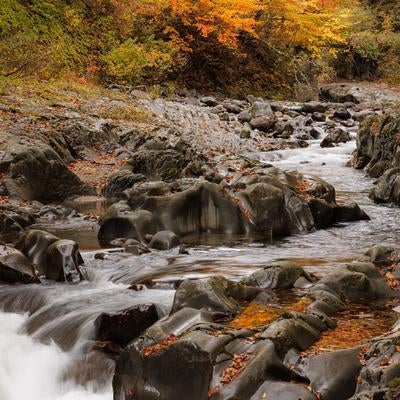 紅葉が映える中津川渓谷の水の流れの写真