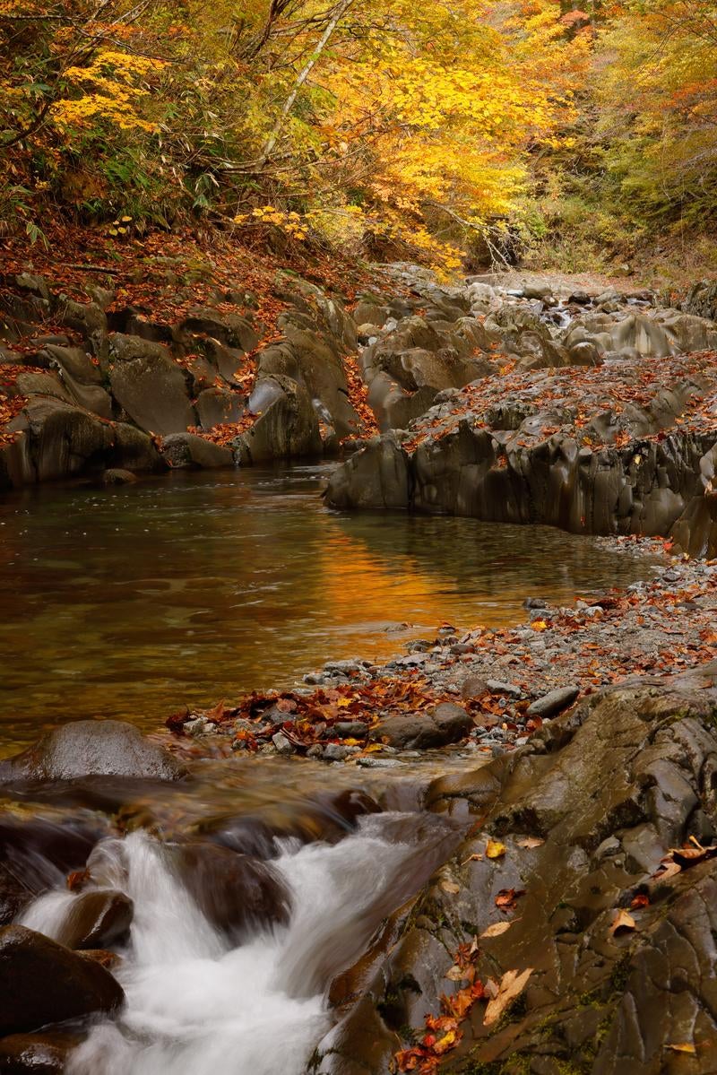 「紅葉に包まれた秋の中津川渓谷」の写真