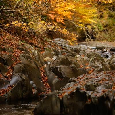 紅葉と清流と中津川渓谷の写真