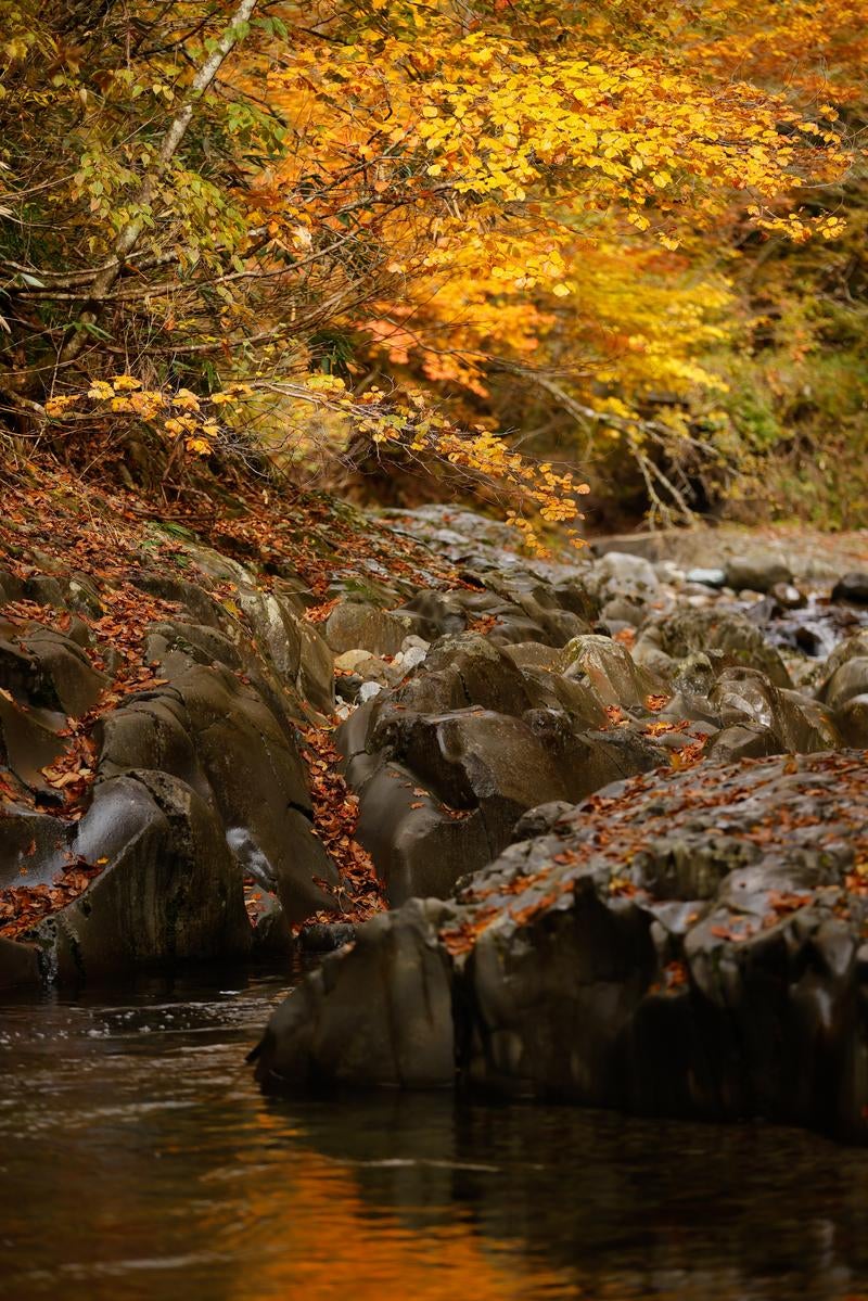 紅葉と清流と中津川渓谷の写真