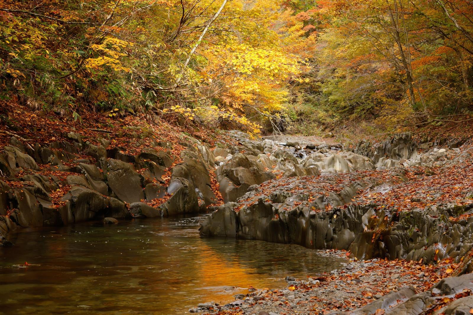 「中津川渓谷の紅葉の絶景と水面に映る秋色」の写真