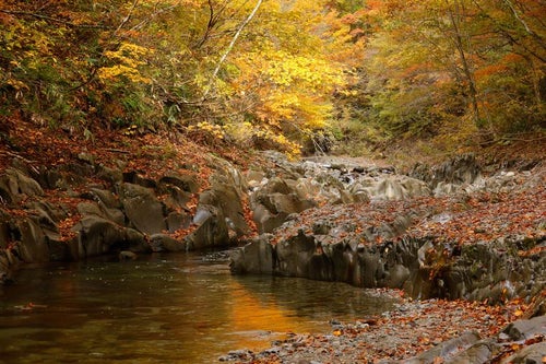 中津川渓谷の紅葉の絶景と水面に映る秋色の写真