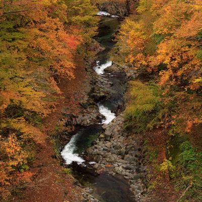 中津川渓谷の紅葉のパノラマビューの写真