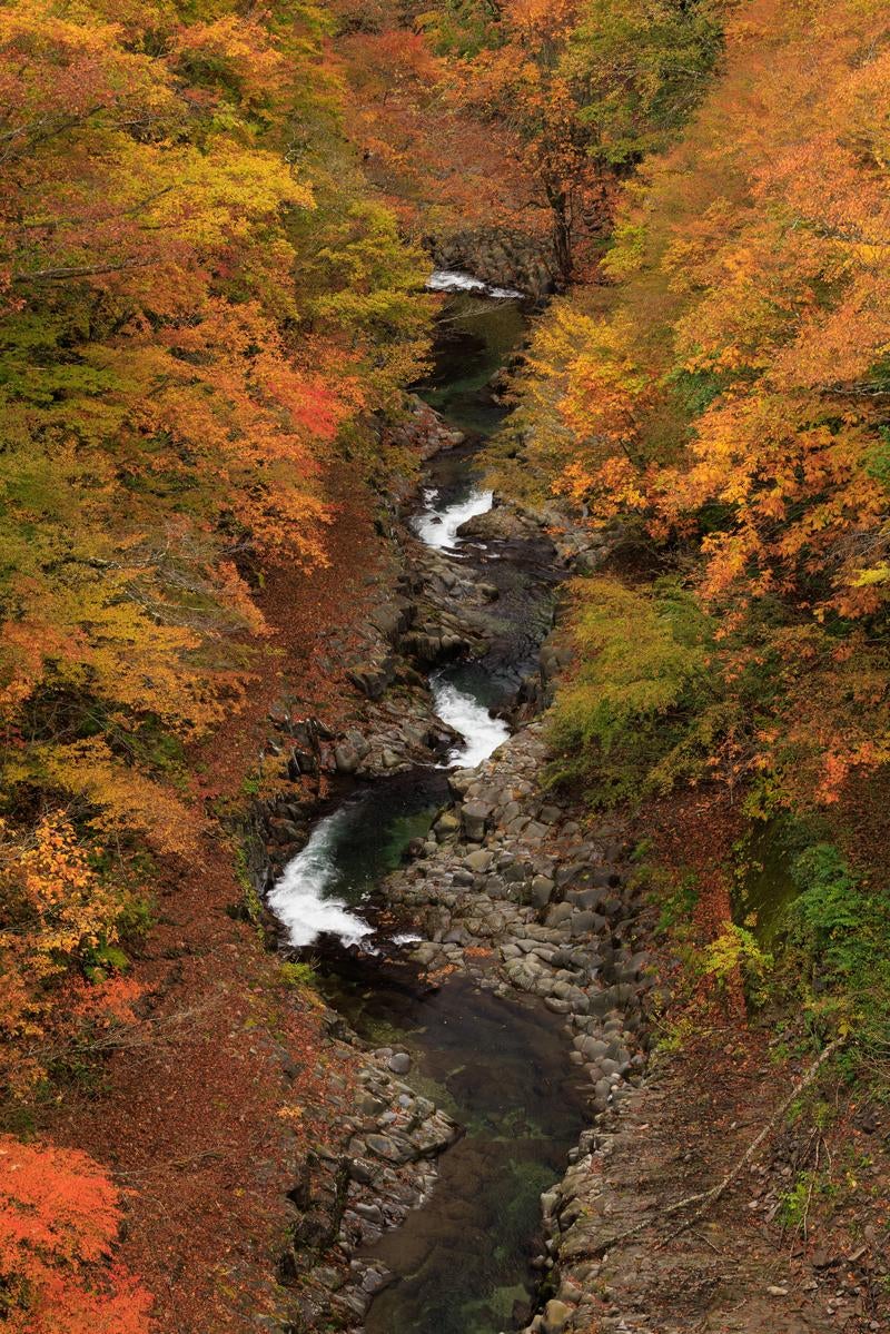 中津川渓谷の紅葉のパノラマビューの写真