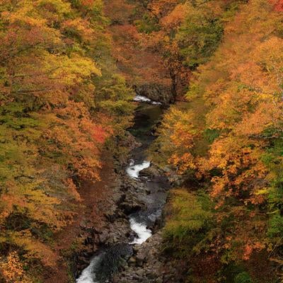 秋の中津川渓谷の写真