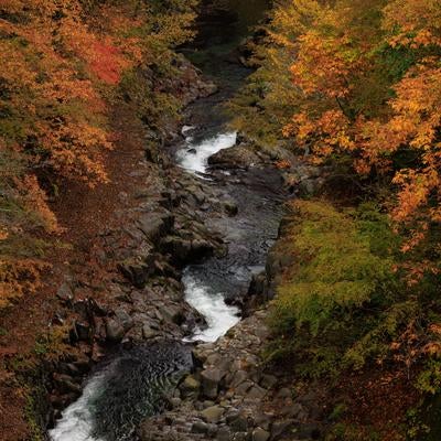 高所から望む中津川渓谷の秋の色彩の写真