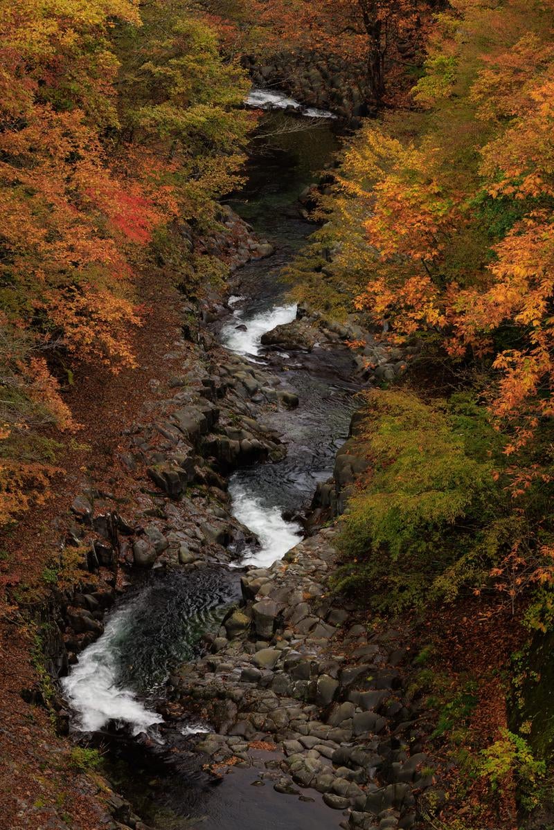 「高所から望む中津川渓谷の秋の色彩」の写真