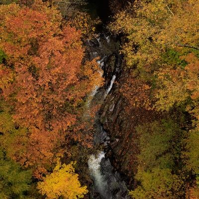 俯瞰で捉える秋色の中津川渓谷の写真