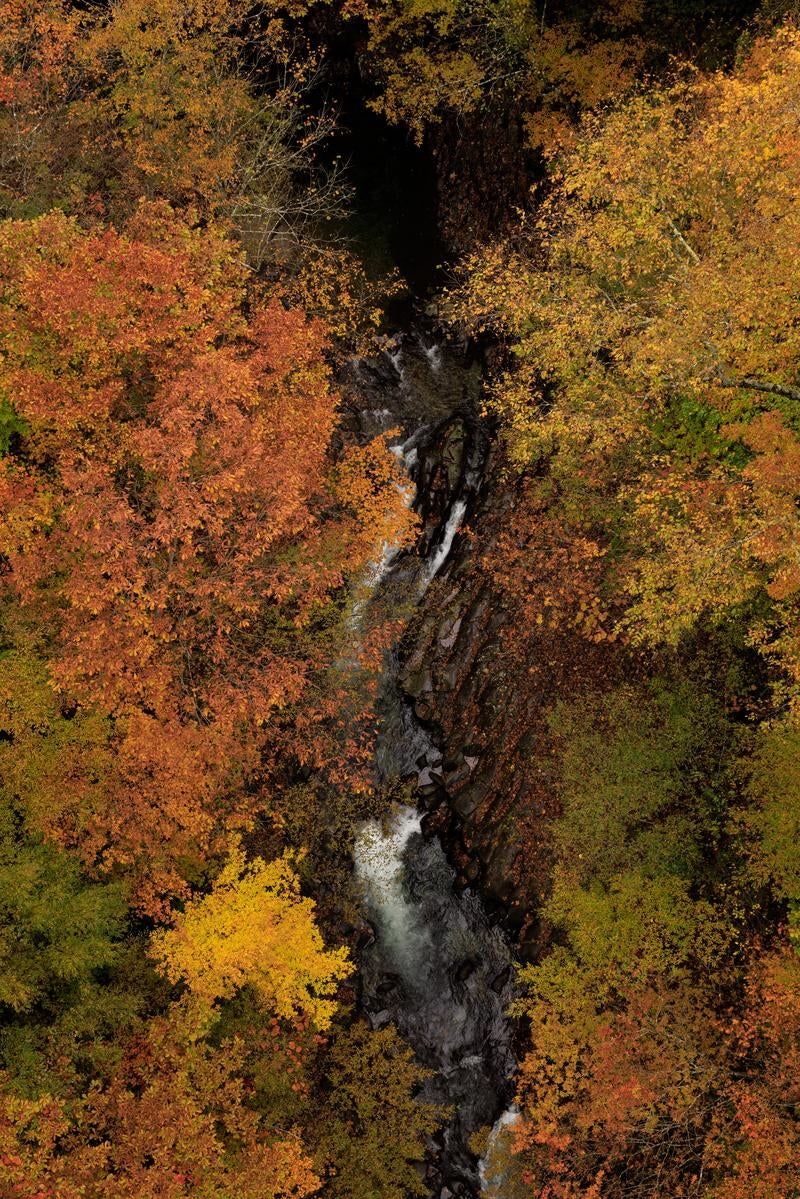 「俯瞰で捉える秋色の中津川渓谷」の写真