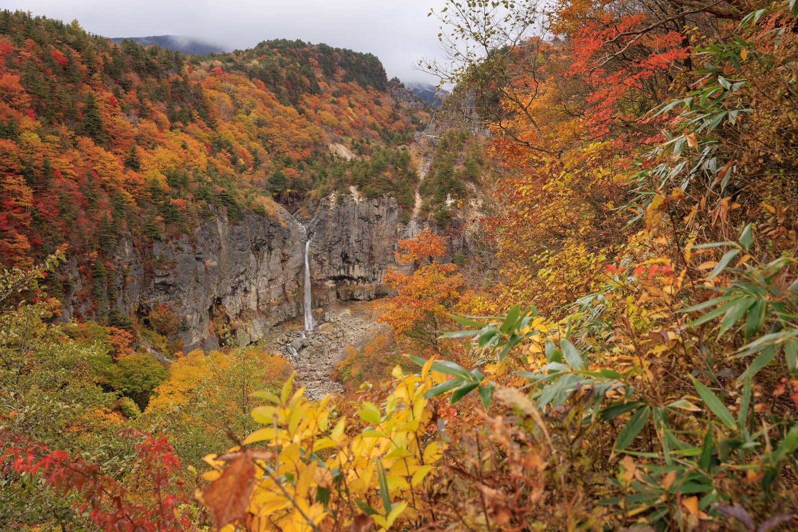 「秋の断壁と白糸の滝、紅葉が織りなす自然の美」の写真