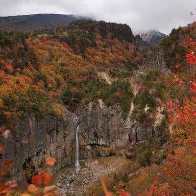 断壁の秋色が魅せる白糸の滝の紅葉の写真