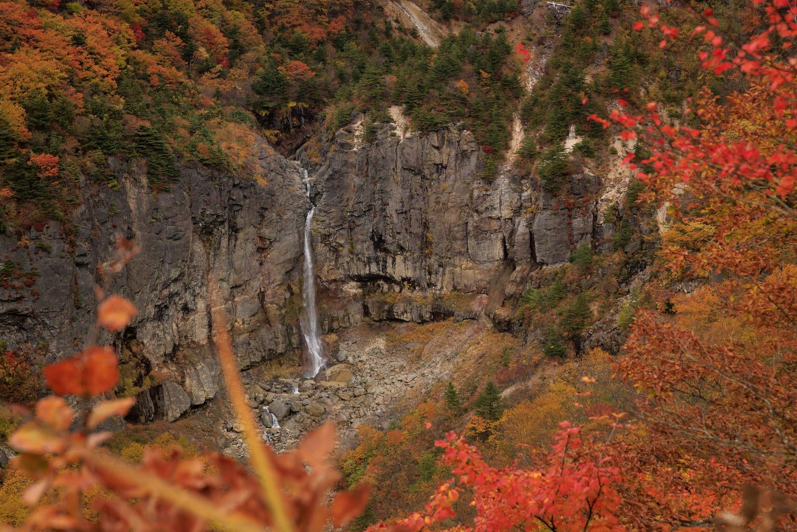 「秋の断壁の壮大な景観と紅葉に彩られた白糸の滝」の写真