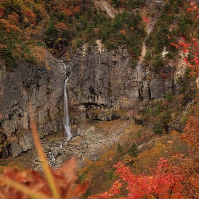 秋の断壁の壮大な景観と紅葉に彩られた白糸の滝の写真
