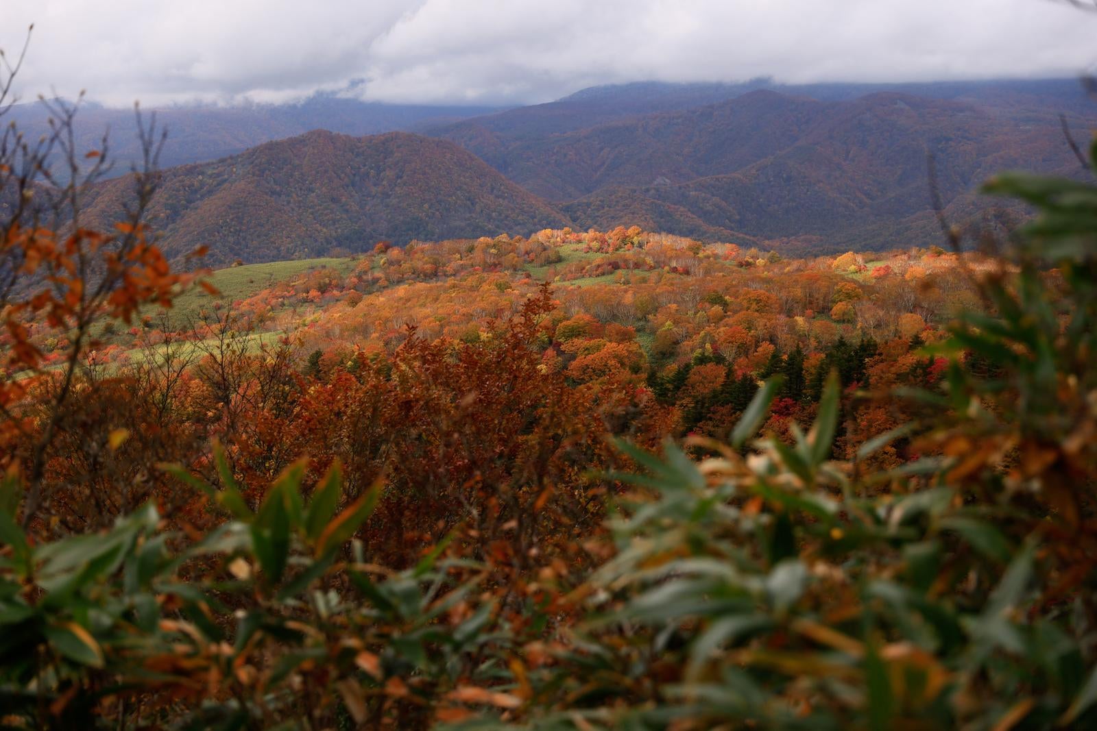 「稜線から望む紅葉と沼尻ルートからの秋の絶景」の写真