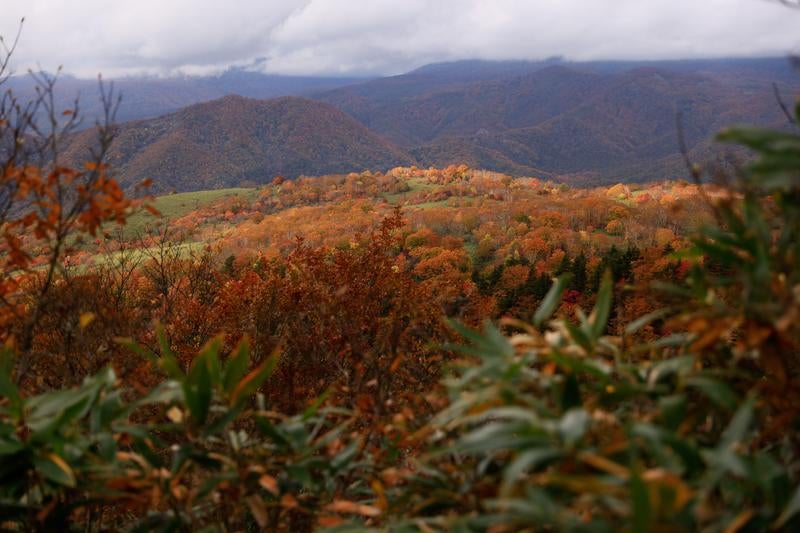 稜線から望む紅葉と沼尻ルートからの秋の絶景の写真