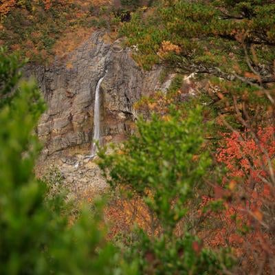 沼尻ルートからの眺め、白糸の滝の秋の彩りの写真