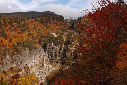 白糸の滝に映える秋の断壁の写真