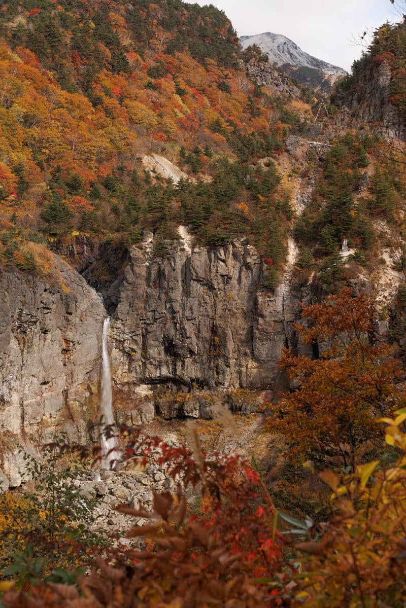 「断壁に宿る紅葉と秋の白糸の滝」の写真